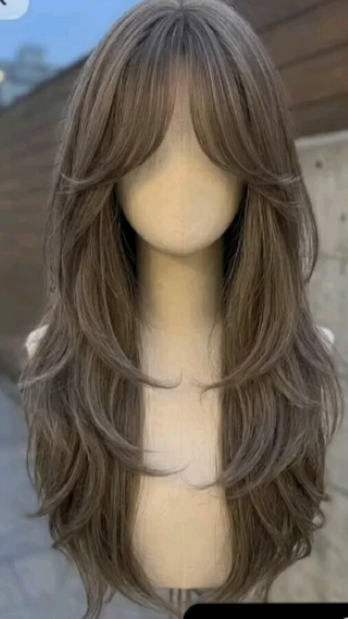 coupe cheveux dégradés élégante