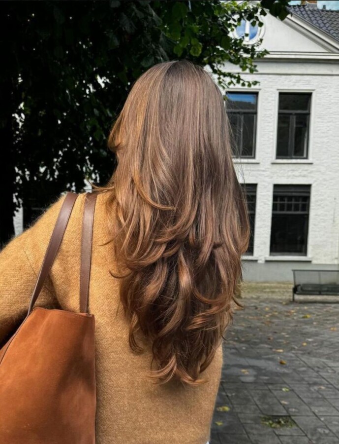 coupe cheveux dégradés élégante