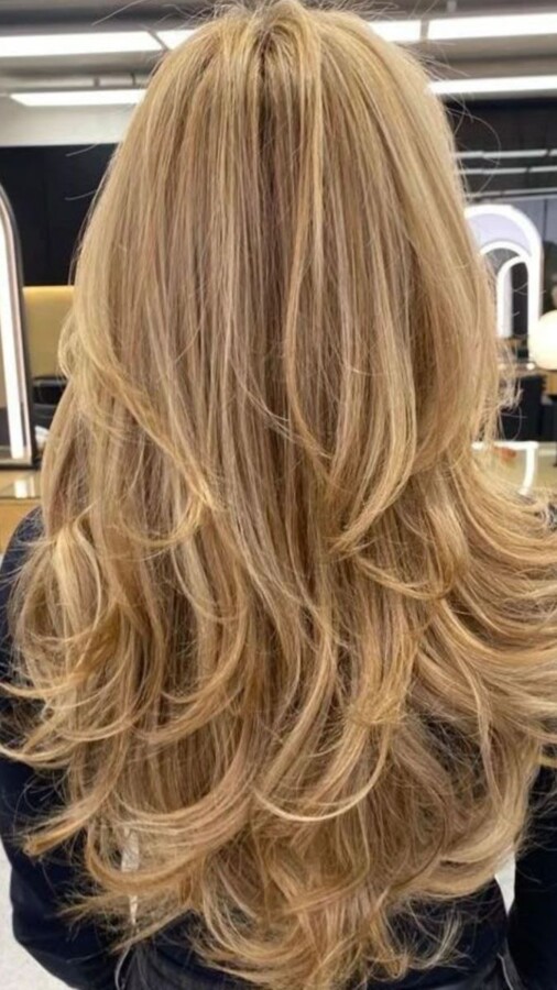 coupe cheveux dégradés élégante