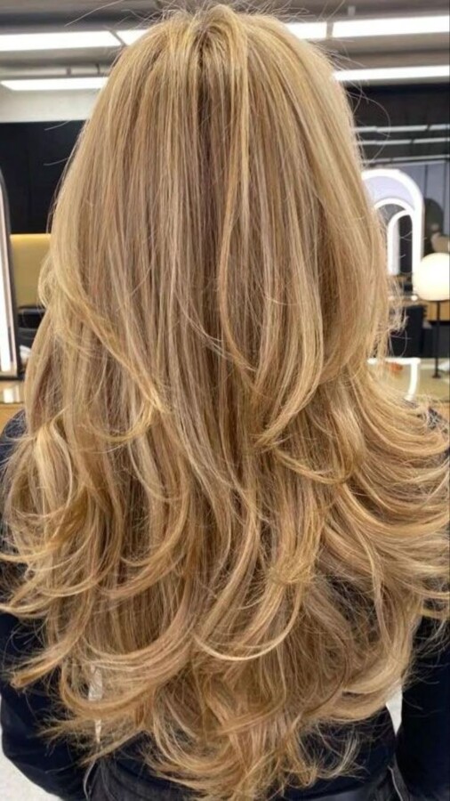 Style élégant pour cheveux longs
